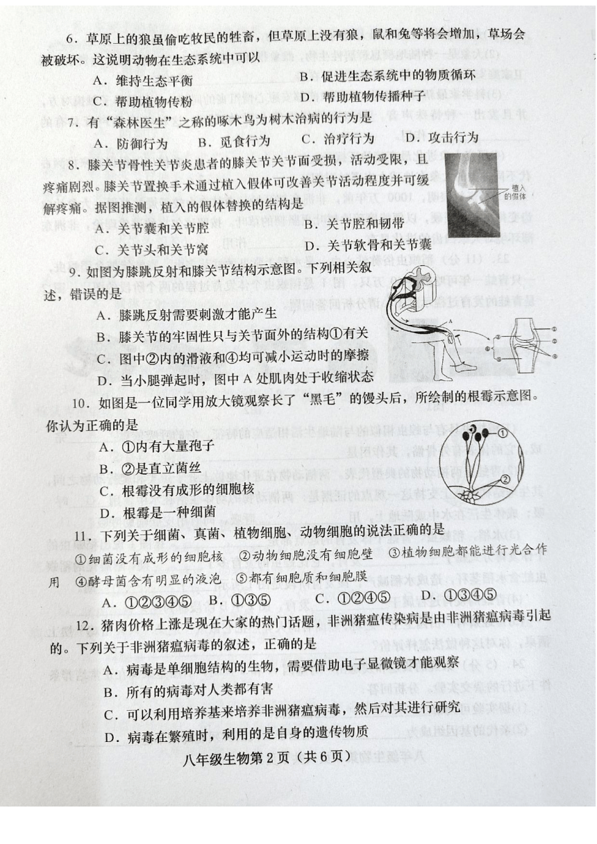 河南省南阳市镇平县2023-2024学年八年级上学期期末考试生物试卷（图片版 无答案）