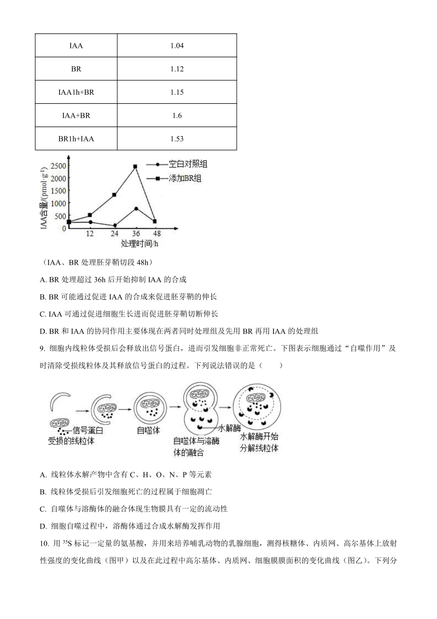 吉林省通化市梅河口市第五中学2023-2024学年高三上学期1月期末考试生物（解析版）