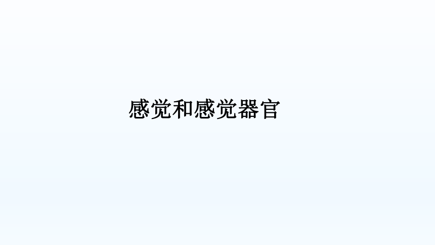 京改版生物七年级下册：8.3 感觉和感觉器官  课件（共33张PPT）