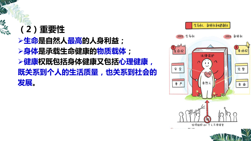 1.2 积极维护人身权利 课件(共25张PPT)-2023-2024学年高中政治统编版选择性必修二法律与生活