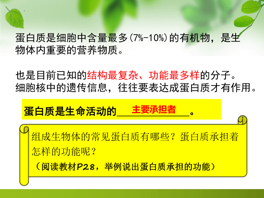 2.4蛋白质是生命活动的主要承担者课件（共43张PPT） 生物人教版必修1