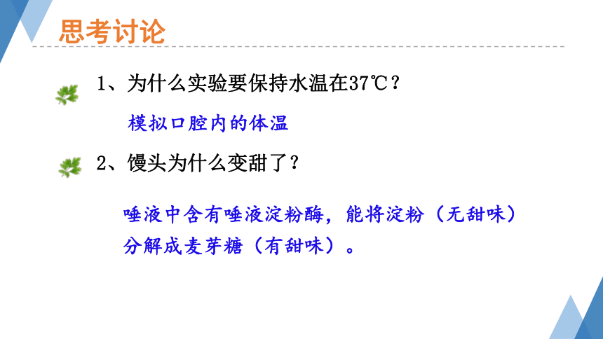 2.1.2-1食物在口腔中的消化 课件(共23张PPT)2023-2024学年冀少版生物七年级下册