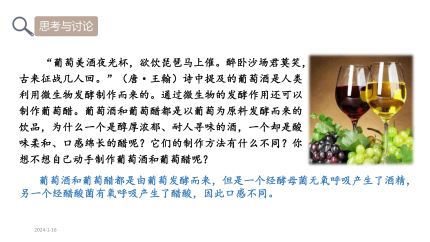 1.1 传统发酵技术的应用  课件 (共26张PPT)2023-2024学年高二生物人教版（2019）选择性必修3