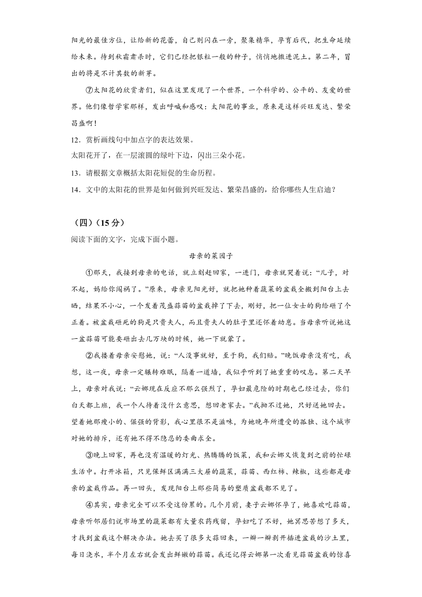 吉林省长春净月高新技术产业开发区2023-2024学年七年级上学期期末语文试题（含解析）