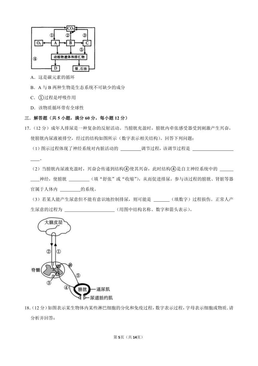 2023-2024学年湖南省张家界市高二（上）期末生物模拟试卷（含解析）