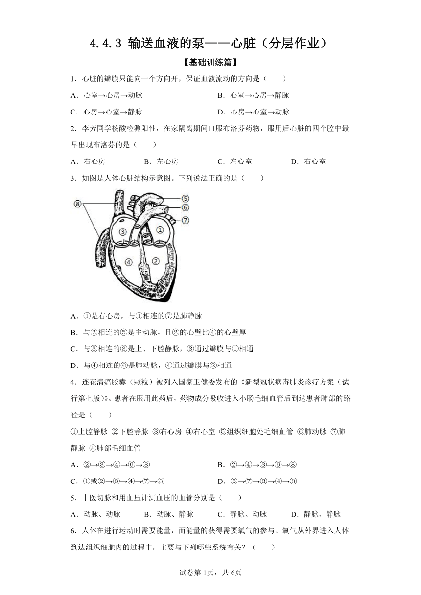 4.4.3输送血液的泵——心脏  分层作业 七年级生物下册人教版（含解析）