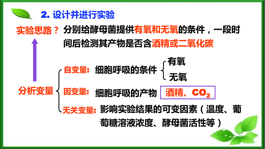 5.3细胞呼吸的原理和应用(第1课时)课件(共42张PPT) 人教版必修一