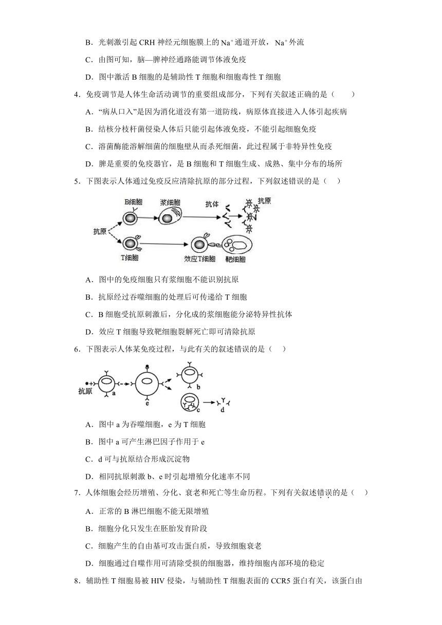 4.3特异性免疫同步练习2023-2024学年高二上学期生物北师大版选择性必修1（解析版）