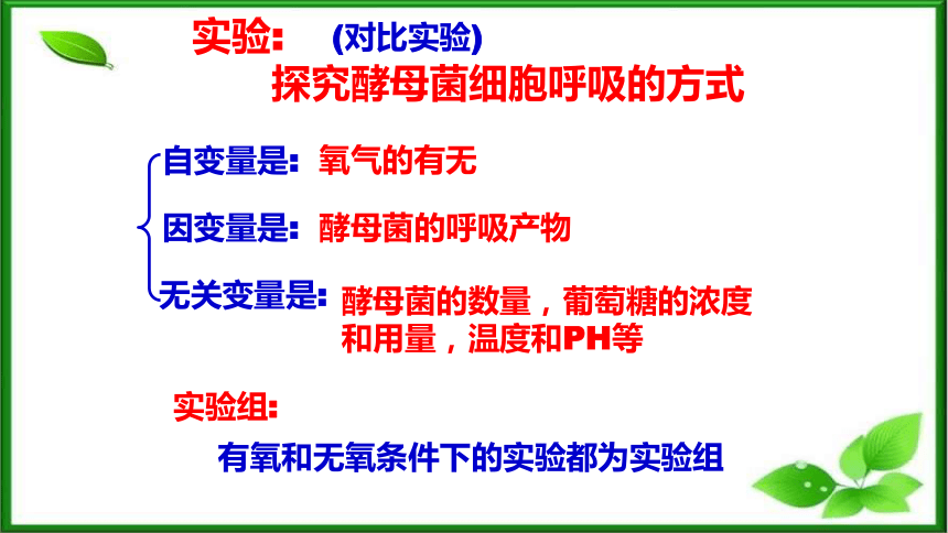 5.3细胞呼吸的原理和应用(第1课时)课件(共42张PPT) 人教版必修一