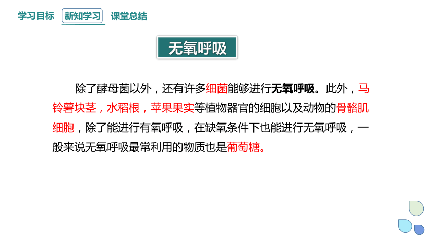 5.3.2 细胞呼吸的原理和应用 课件(共20张PPT) 2023-2024学年高一生物人教版（2019）必修1