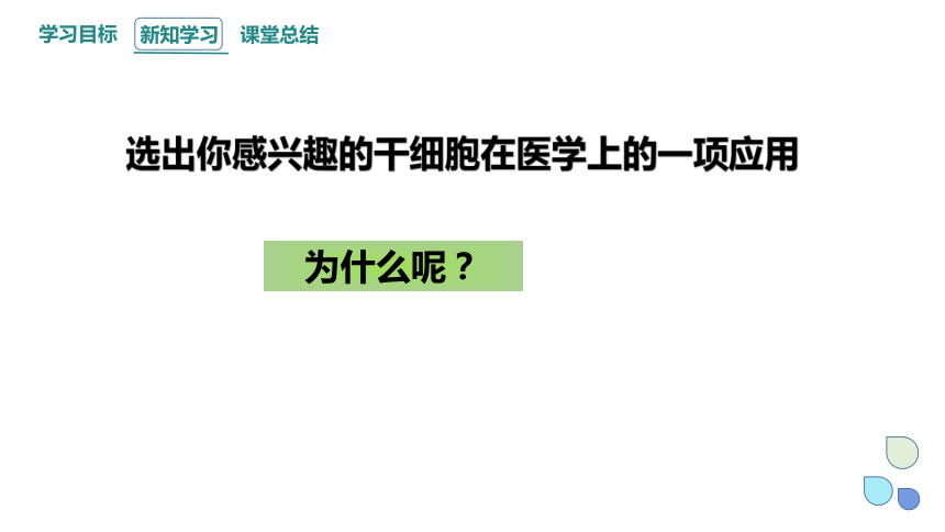 4.2.1细胞通过分化产生不同的细胞（一） 课件(共23张PPT) 2023-2024学年高一生物浙科版（2019）必修第一册