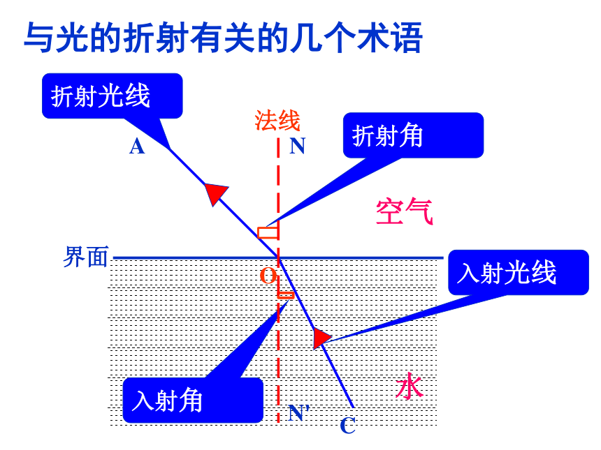 沪教物理八年级上册2.2 光的折射(共24张PPT)