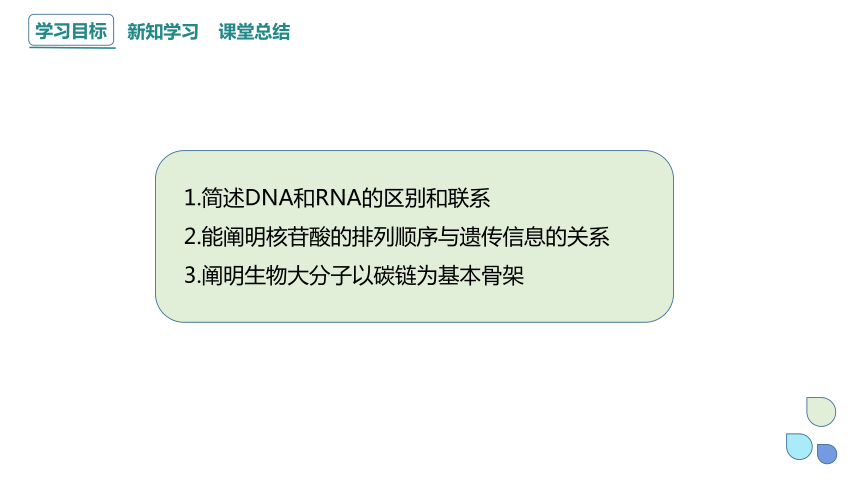 2.5 核酸是遗传信息的携带者 课件 (共17张PPT)2023-2024学年高一生物人教版（2019）必修1