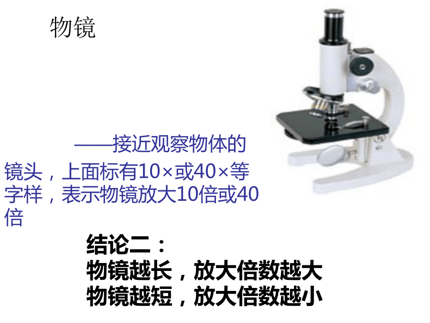 第一节练习使用显微镜