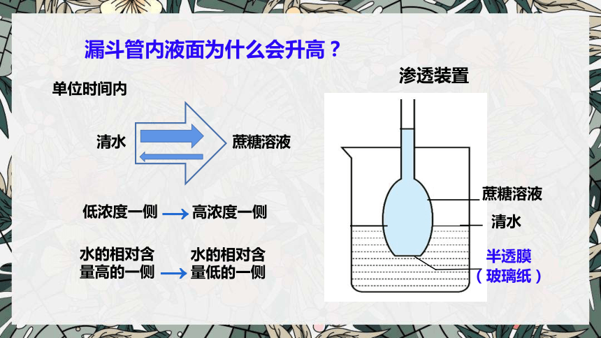 4.1被动运输(第1课时)课件 (共33张PPT)人教版必修一