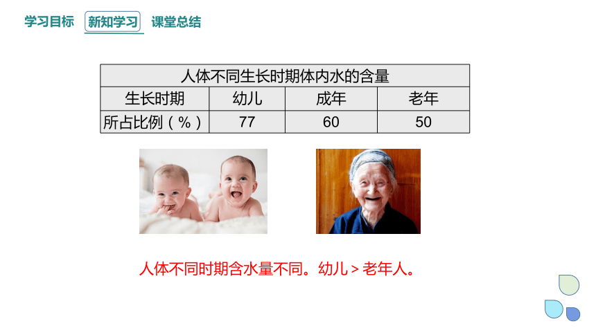 2.2 细胞中的无机物 课件(共22张PPT) 2023-2024学年高一生物人教版（2019）必修1