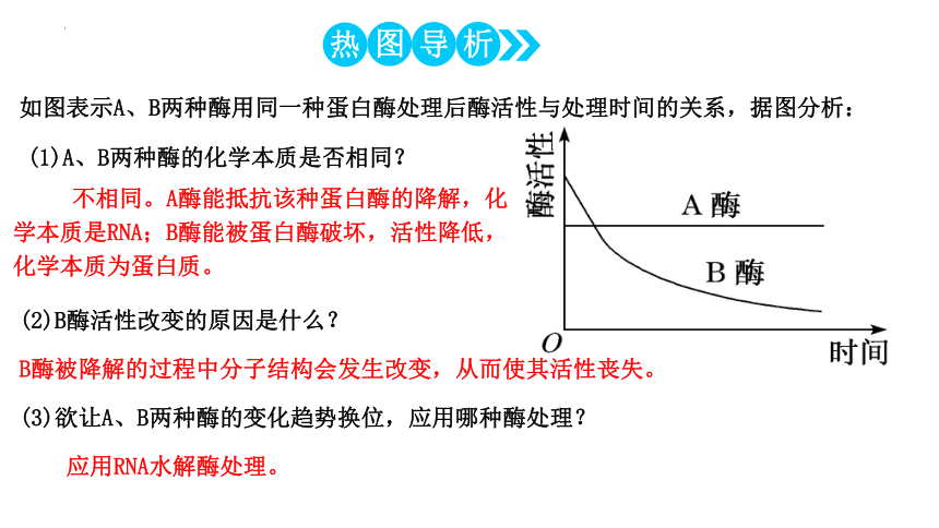 5.1.2酶的特性课件 第2课时 （共34张PPT）-人教版（2019）必修1