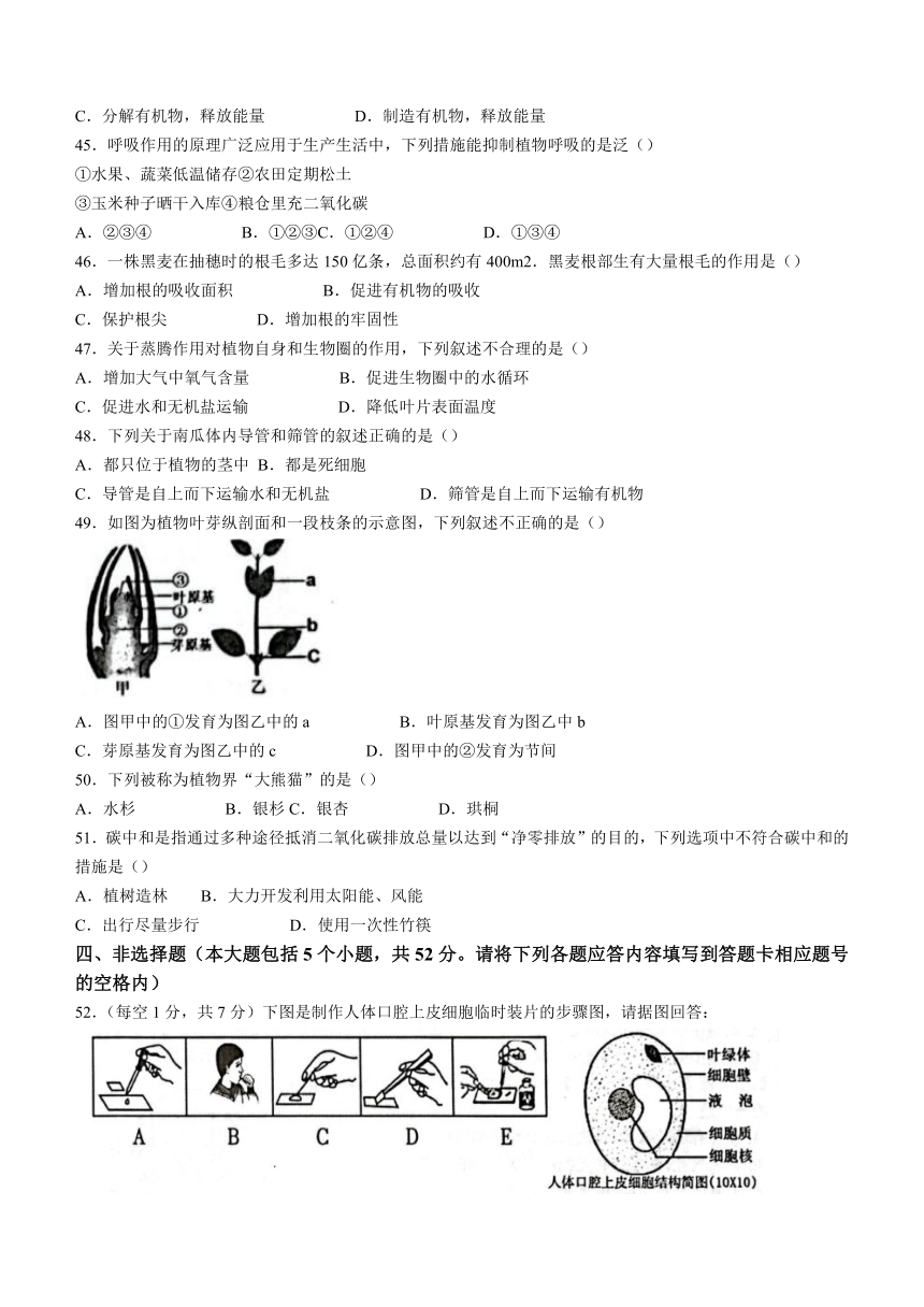 贵州省遵义市2023-2024学年七年级上学期期末生物试题（含答案）