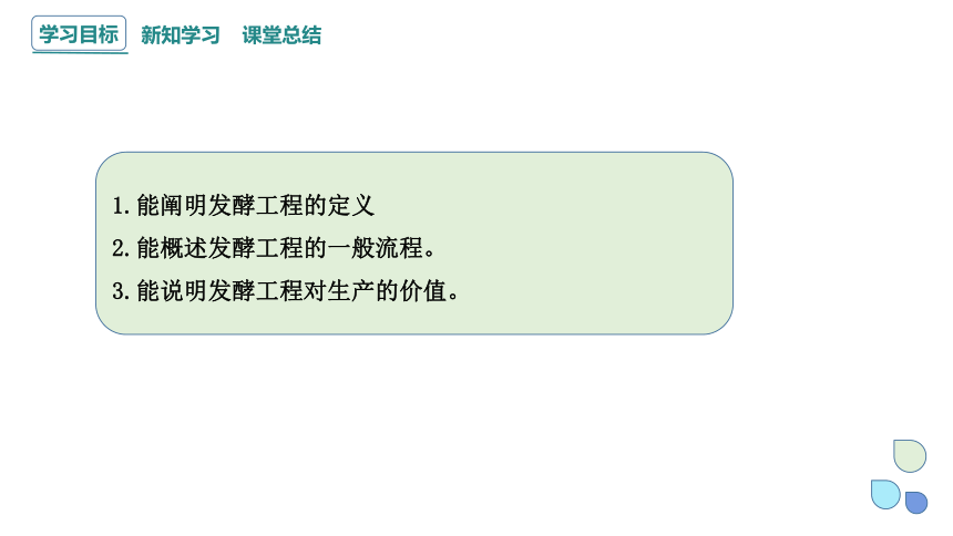 1.3 发酵工程及其应用  课件(共21张PPT) 2023-2024学年高二生物人教版（2019）选择性必修3