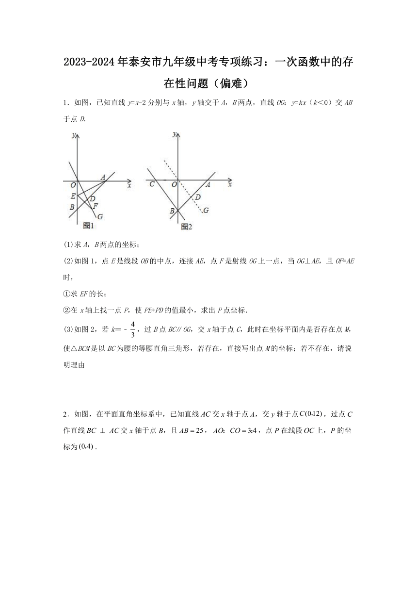 2024年山东省泰安市九年级中考专项练习：一次函数中的存在性问题（偏难）（无答案）