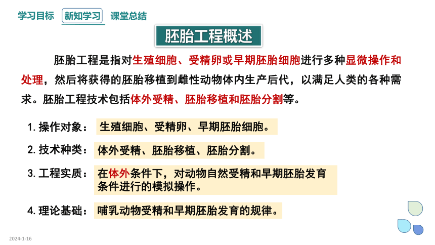 2.3 课时1 胚胎工程   课件 (共17张PPT)2023-2024学年高二生物人教版（2019）选择性必修3