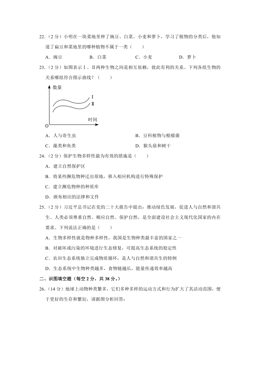 安徽省合肥市肥西县2023-2024学年八年级上学期期末生物试卷（含解析）