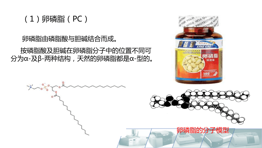 2.4类脂概述 课件(共17张PPT)-《食品生物化学》同步教学（大连理工大学出版社）