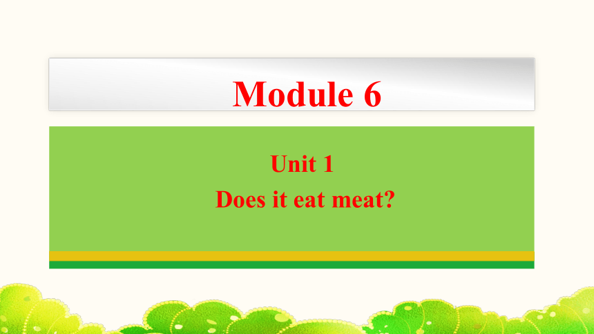 Module 6 Unit 1  Does it eat meat? 课件(共25张PPT，内嵌音频) 2023-2024学年外研版英语七年级上册