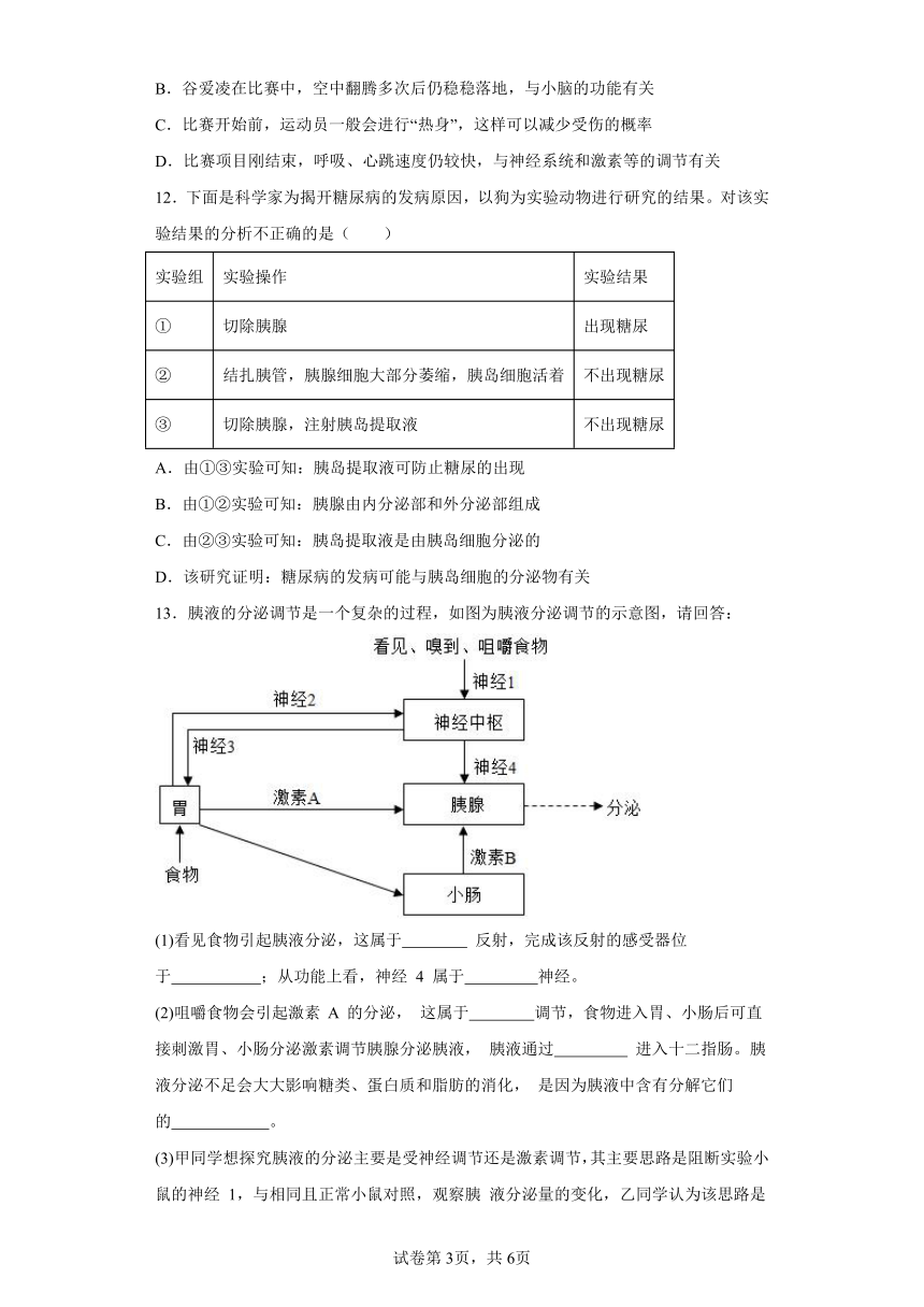 4.6.4激素调节 分层作业 （含解析）七年级生物下册人教版