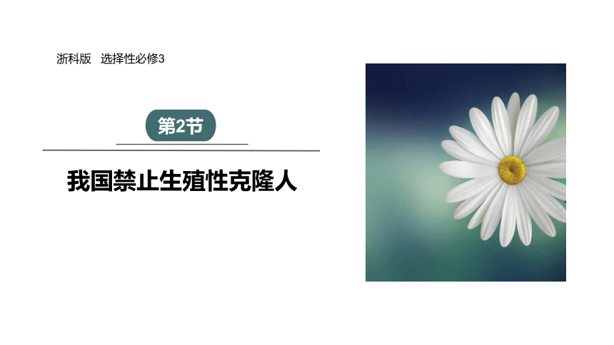 5.2 我国禁止生殖性克隆人课件（共23张PPT）2023-2024学年高二生物浙科版（2019）选择性必修3