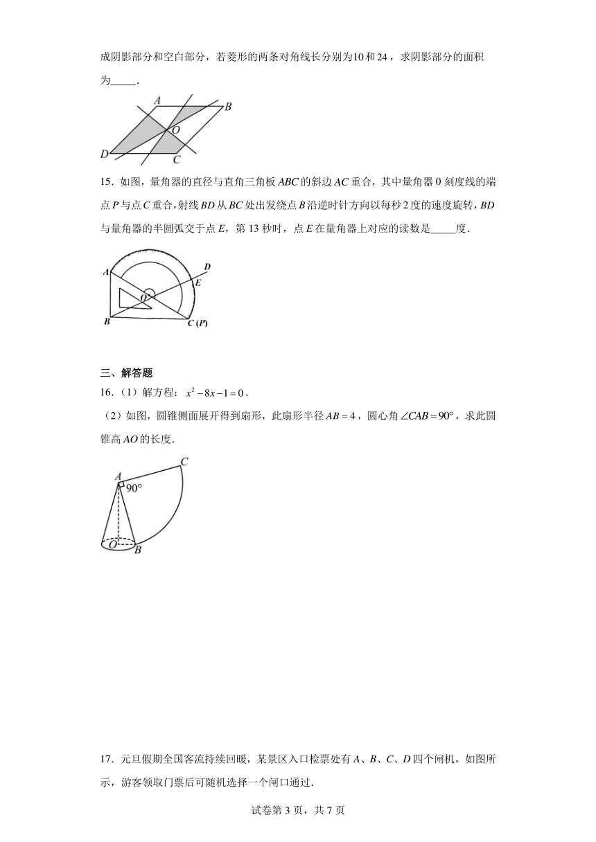 广东省江门市蓬江区2023-2024学年九年级上学期期末数学试题(含解析)