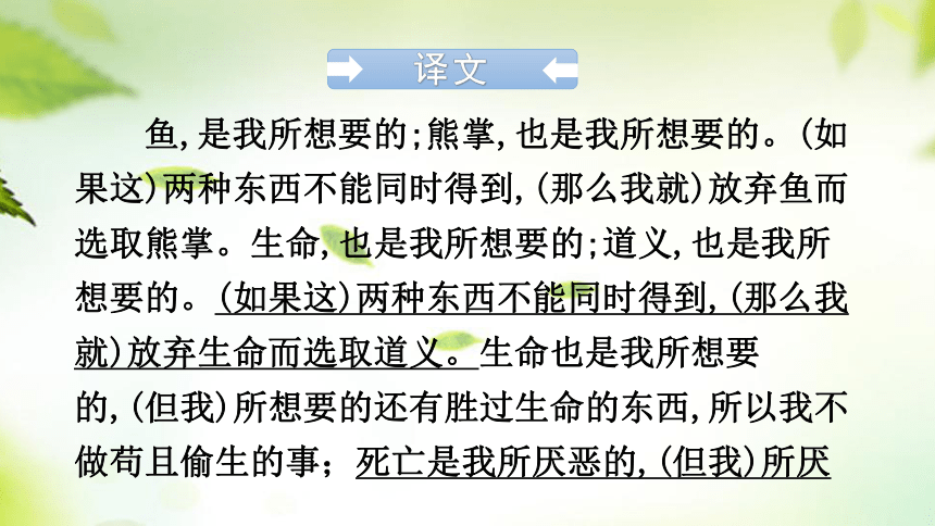 2024年中考语文总复习课件(共133张PPT) 文言文知识清单九年级下册