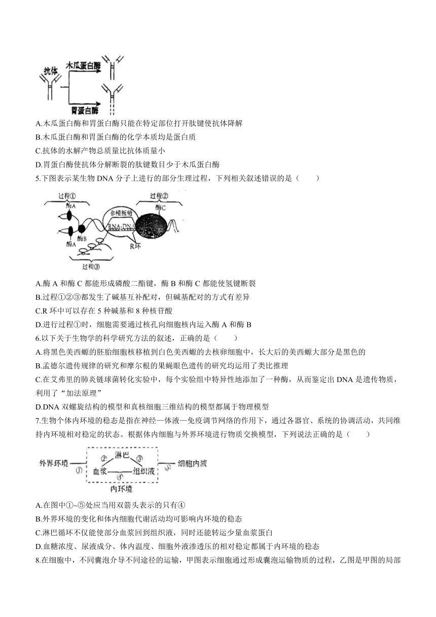 广东省潮州市2023-2024学年高三上学期期末教学质量检测生物学试题（含答案）