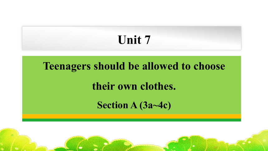 人教版九年级全一册Unit 7Teenagers should be allowed to choose their own clothes. Section A (3a~4c))课件（共42张PPT