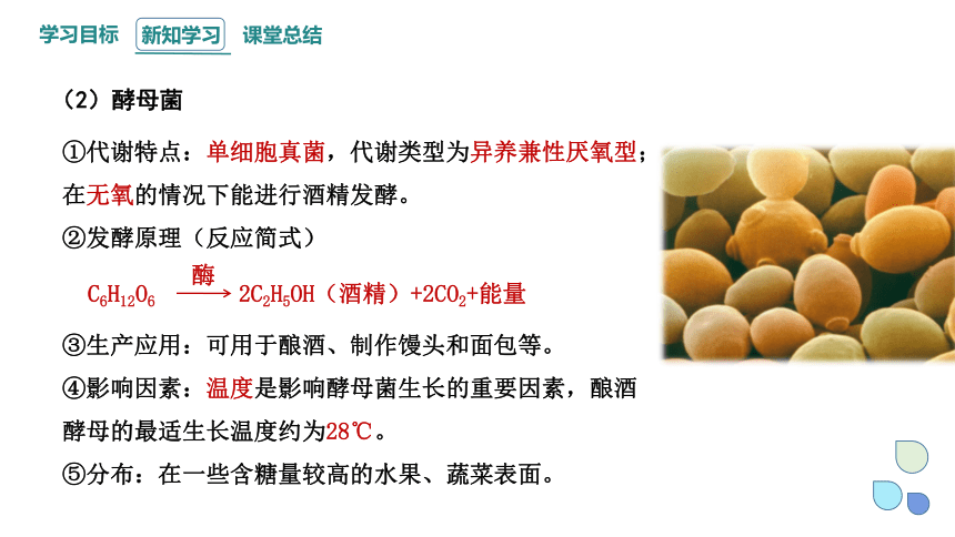 1.1 传统发酵技术的应用  课件 (共26张PPT)2023-2024学年高二生物人教版（2019）选择性必修3