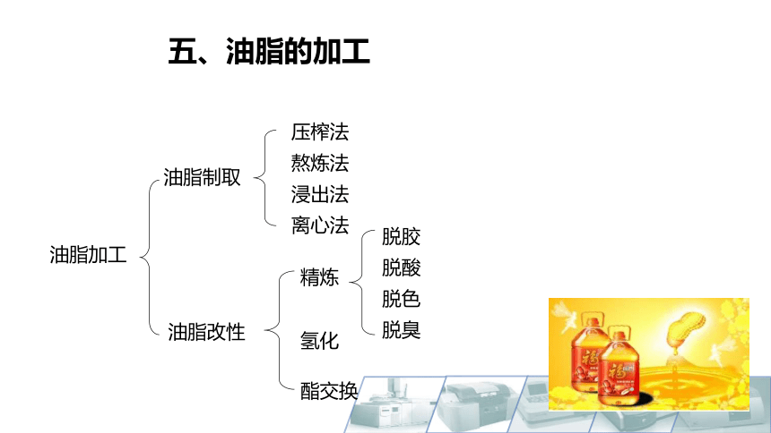 2.5油脂的加工 课件(共16张PPT)-《食品生物化学》同步教学（大连理工大学出版社）