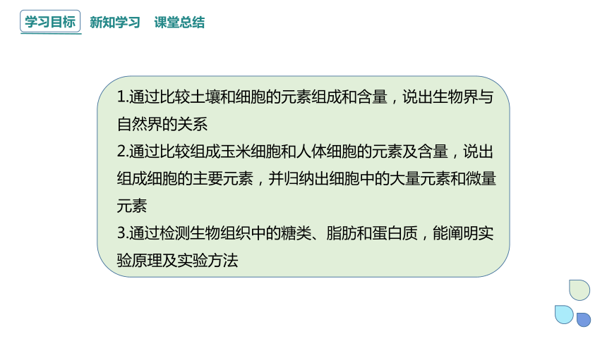 2.1 细胞中的元素和化合物 课件 (共20张PPT)2023-2024学年高一生物人教版（2019）必修1