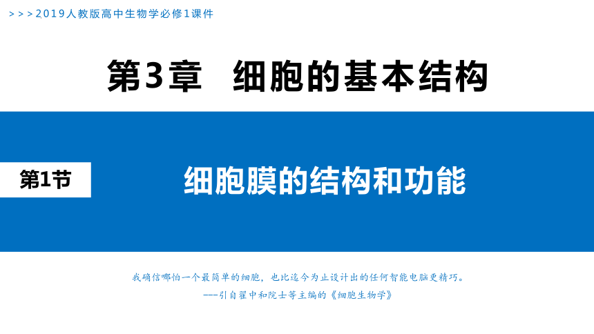 3.1细胞膜的结构和功能课件(共32张PPT)-人教版（2019）必修1