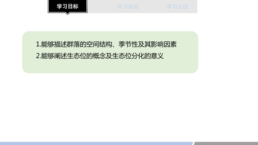 2.1群落的空间结构、季节性、生态位课件（共23张PPT）-人教版（2019）选择性必修2