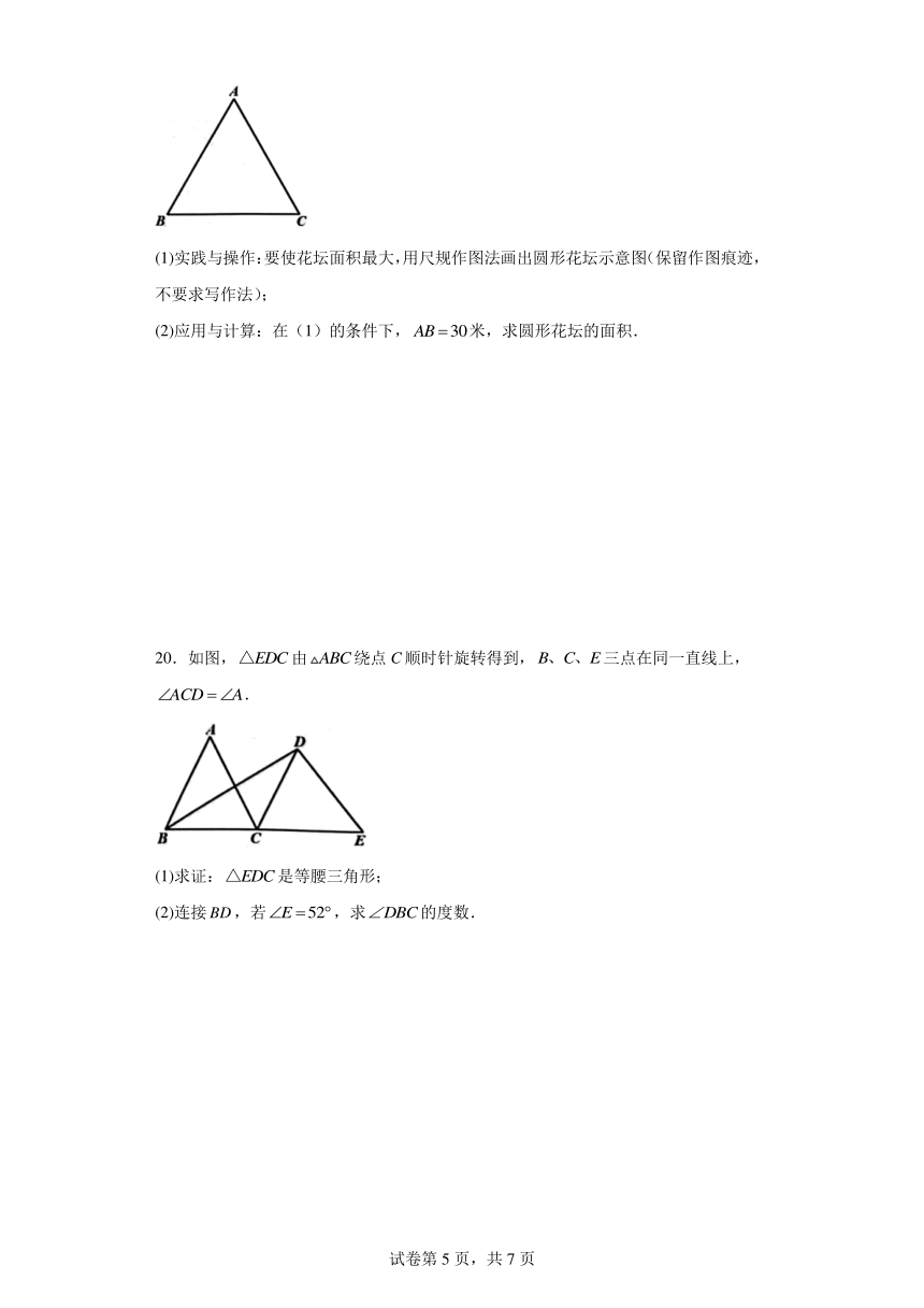 广东省江门市蓬江区2023-2024学年九年级上学期期末数学试题(含解析)