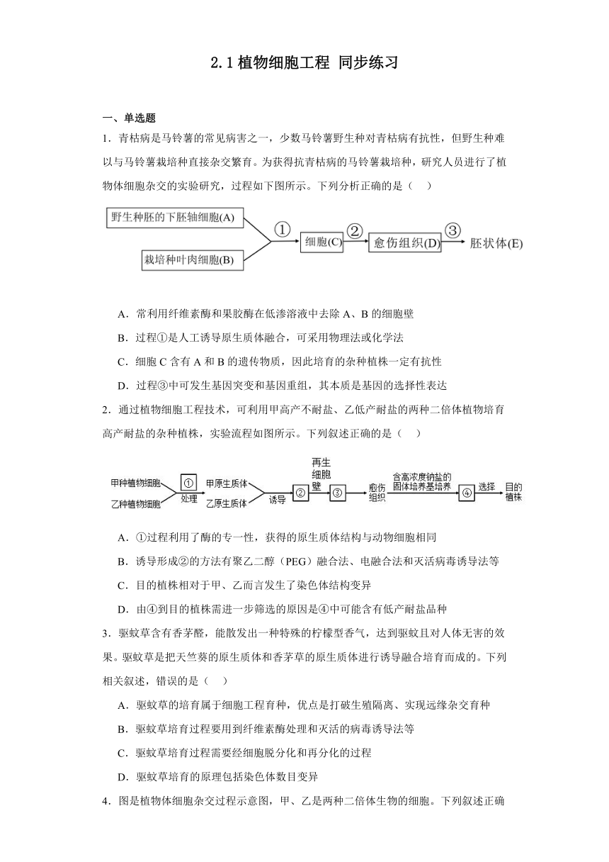 2.1植物细胞工程同步练习2023-2024学年高二下学期苏教版（2019）选择性必修3（含解析）