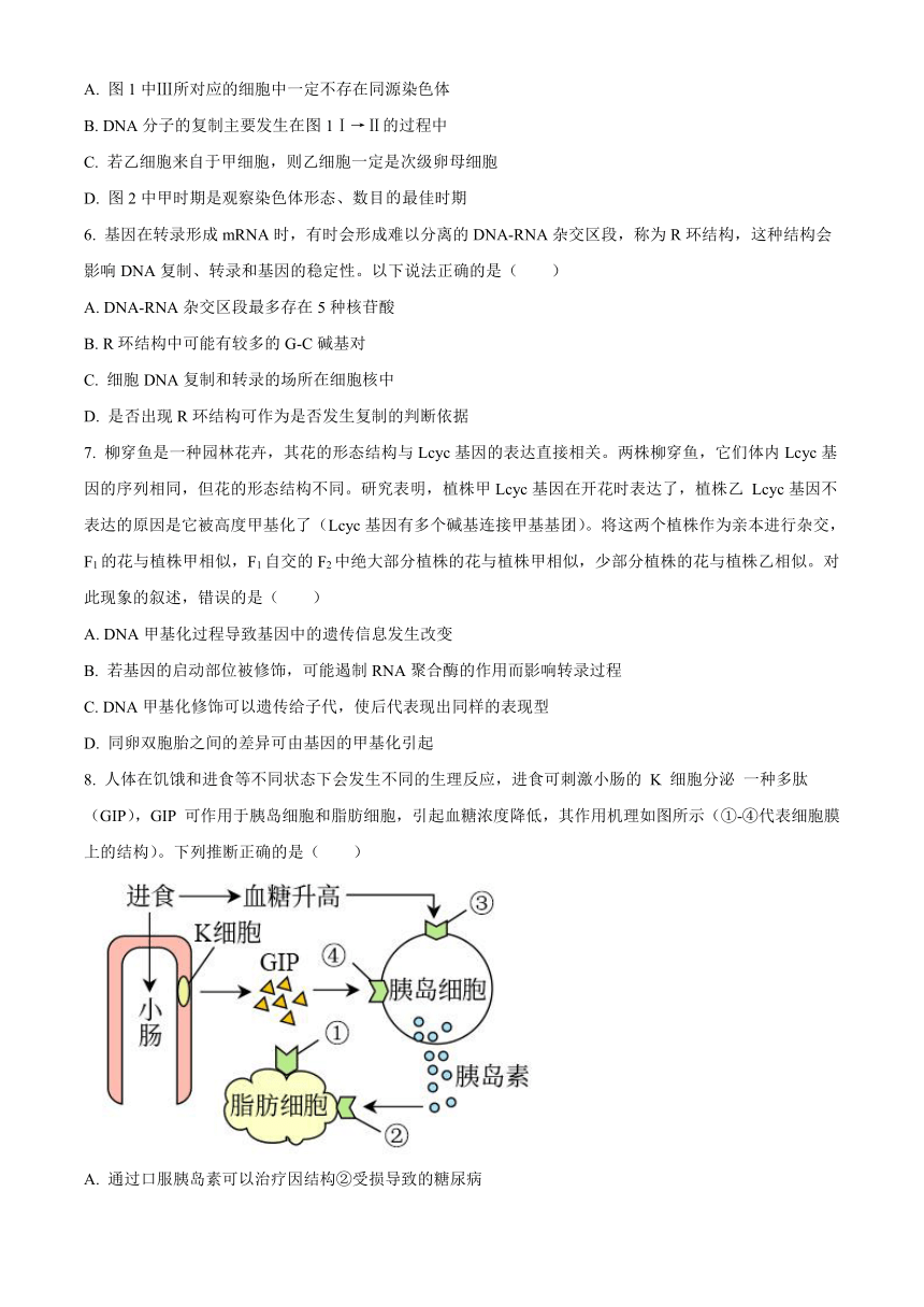 河北省保定市部分高中2023-2024学年高三上学期1月期末考试生物（解析版）