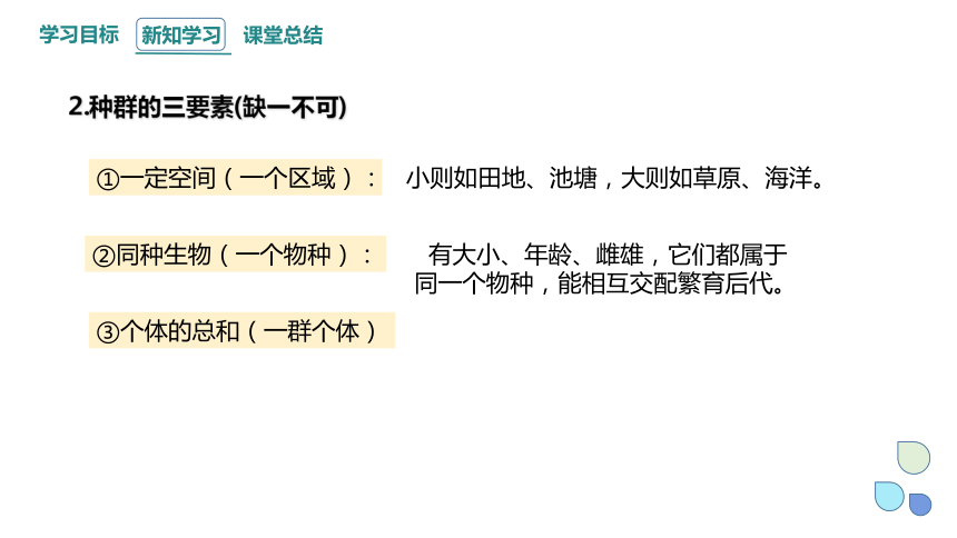 1.1 种群具有一定的特征 课件(共29张PPT) 2023-2024学年高二生物浙科版（2019）选择性必修2