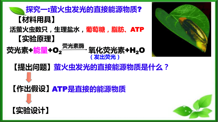 5.2细胞的能量“货币”ATP课件（共35页ppt） 人教版（2019）必修1