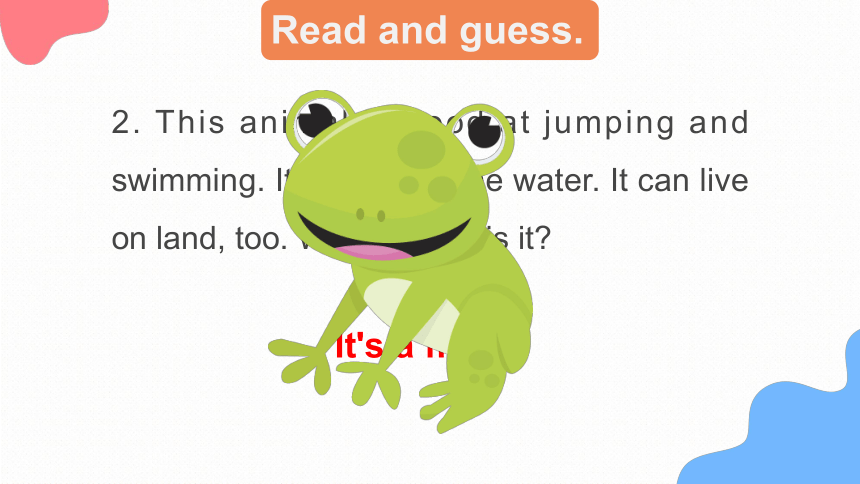 Module 2 Unit 3 What animal is it Lesson 3 课件(共42张PPT)