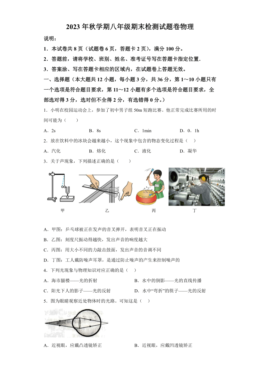 广西壮族自治区梧州市苍梧县2023-2024学年八年级上学期期末考试物理试题（含解析）