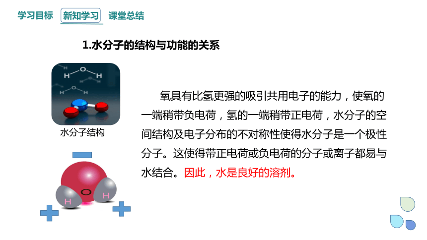 2.2 细胞中的无机物 课件(共22张PPT) 2023-2024学年高一生物人教版（2019）必修1