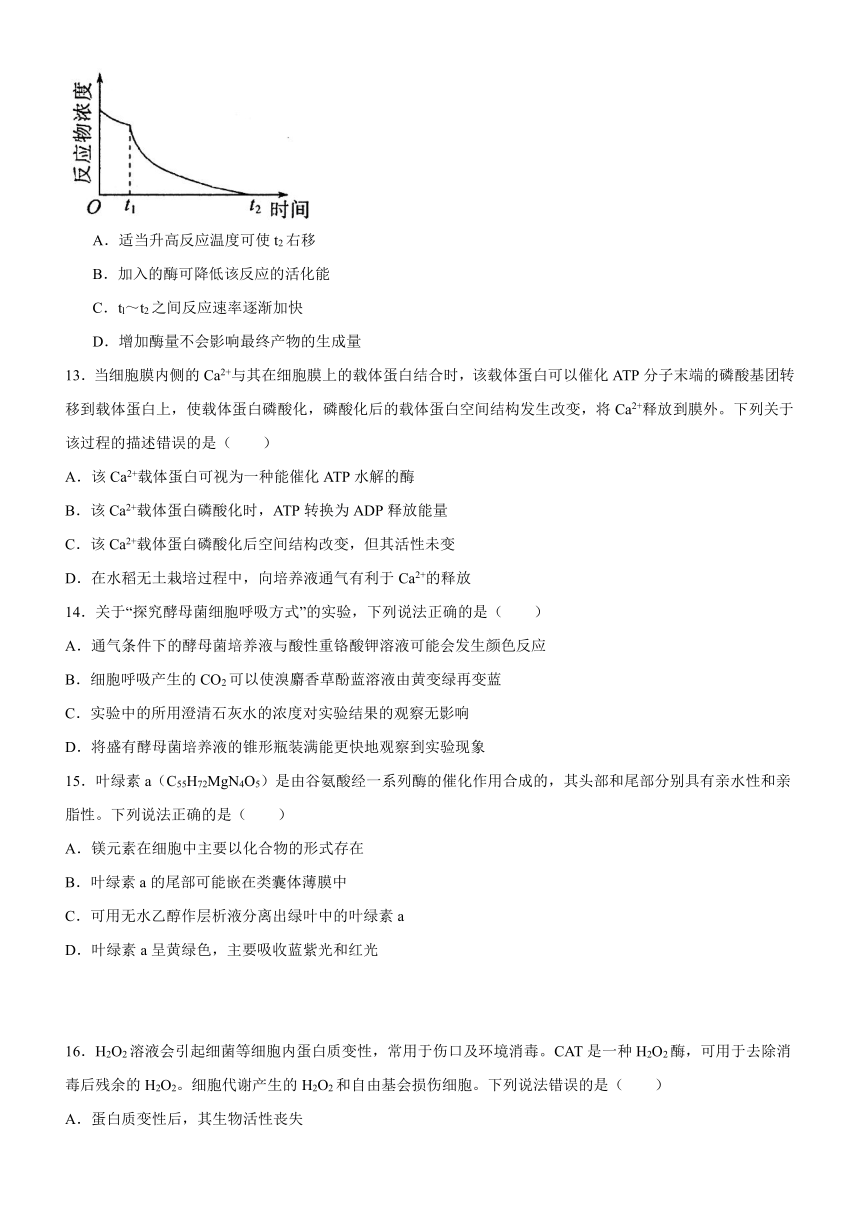 广东省阳江市高新区2023-2024学年高一上学期1月期末测试生物学试题（含答案）