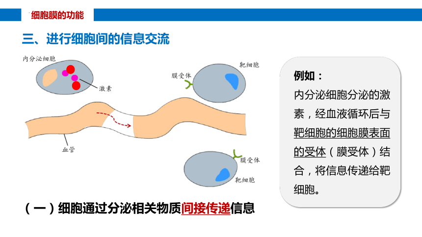 3.1细胞膜的结构和功能课件(共32张PPT)-人教版（2019）必修1