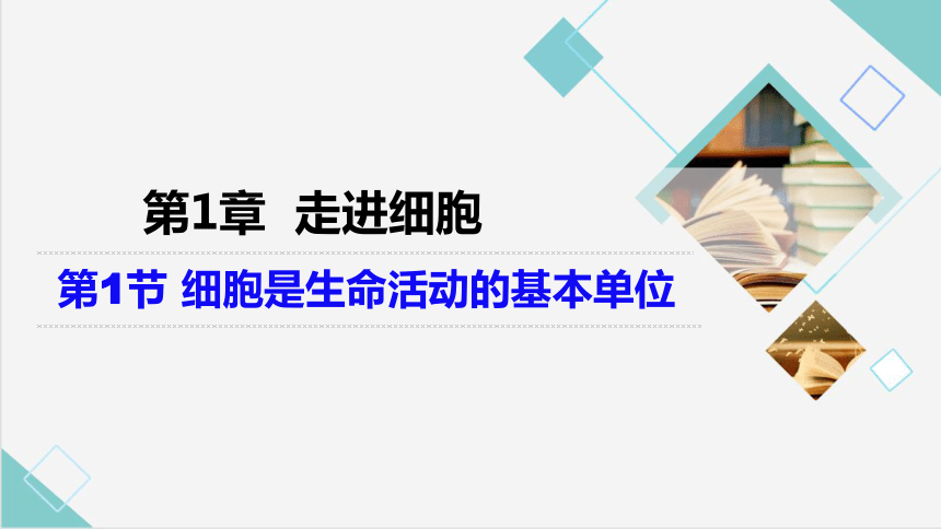 1.1细胞是生命活动的基本单位《课件》(共36张PPT)人教版必修一